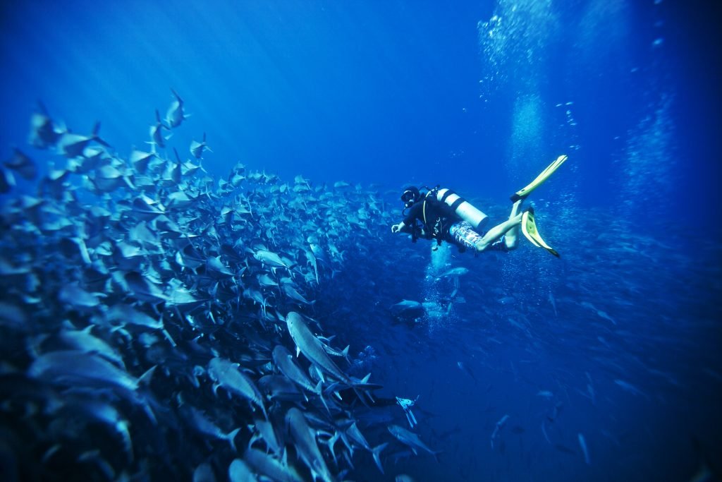 Things to do in Cabo Pulmo